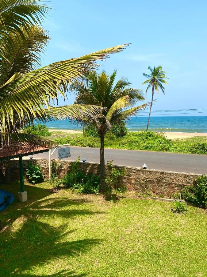 Spice Of Ceylon Hotel Chilaw Eksteriør billede