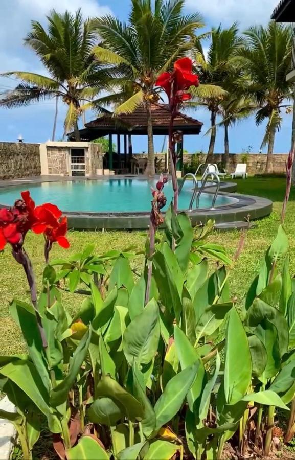 Spice Of Ceylon Hotel Chilaw Eksteriør billede